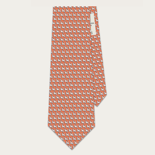 Elliot Martin Buenos Aires Necktie